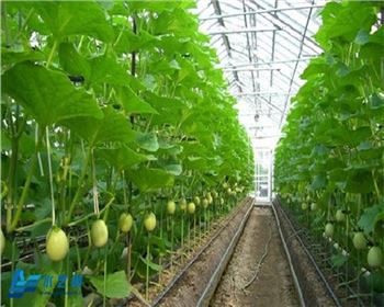 西安PE管是如何連接的？