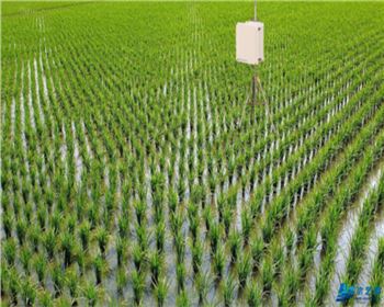 園林綠化灌溉機(jī)械如何進(jìn)行保養(yǎng)才能壽命長(zhǎng)？