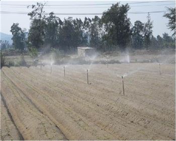 莊稼灌溉技術(shù)哪家強(qiáng)？噴灌、滴灌各有所長！