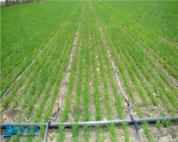 陜西節(jié)水灌溉滴灌管不同為什么會差異很大？