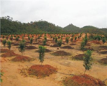 興何節(jié)水助力首府水利重點工程 高效節(jié)水灌溉工程建設(shè)