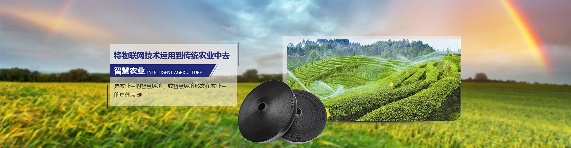 工程案例 工程案例