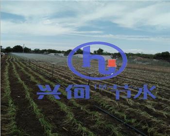 漢中噴霧全景效果圖