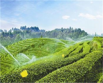 PVC管的優(yōu)點(diǎn)有哪些？