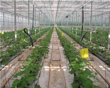 來看看大棚滴灌管使用時(shí)須注意的事項(xiàng)！